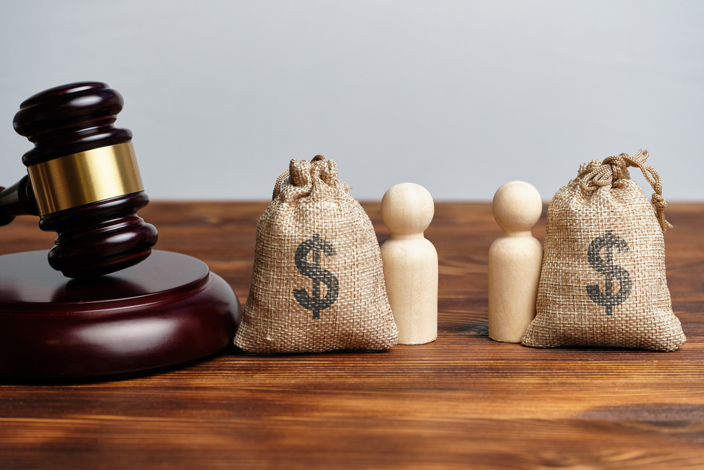 Diversity of Legal Funding Solutions