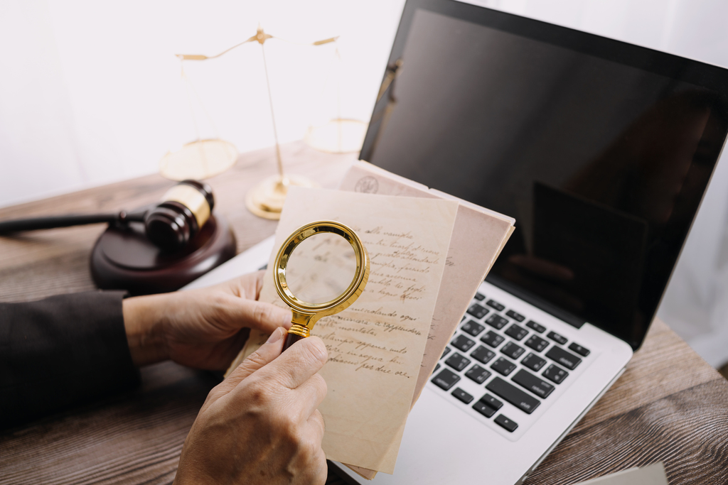 Understanding Litigation Funding